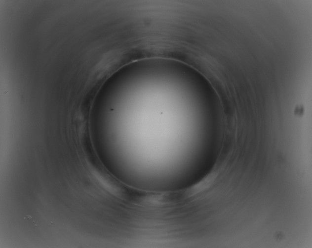 X0000094930086200712131547