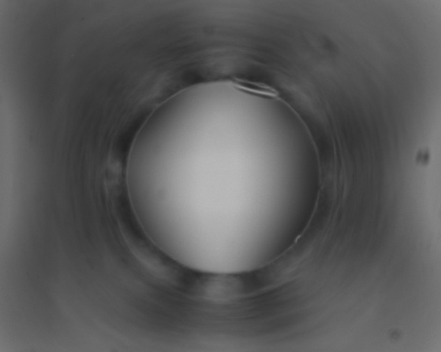 X0000094930087200712131547