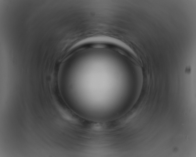 X0000094930088200712131547