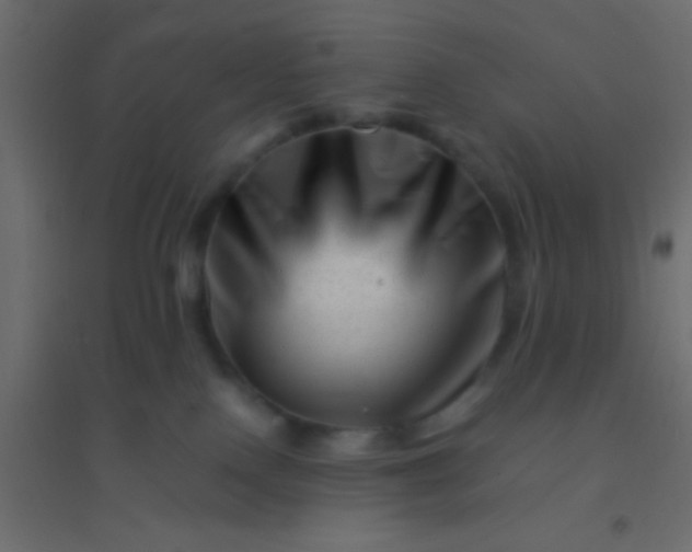 X0000094930090200712131547