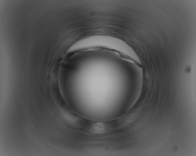 X0000094930091200712131547