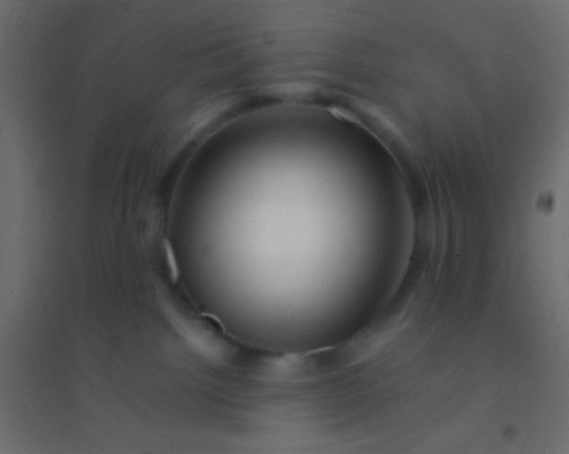 X0000094930092200712131547