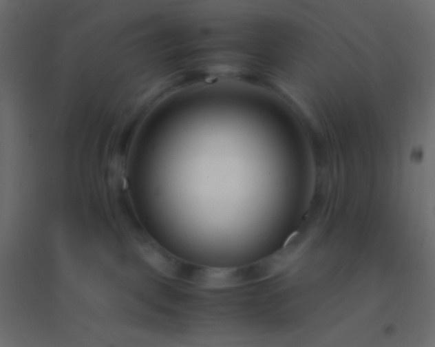X0000094930093200712131547