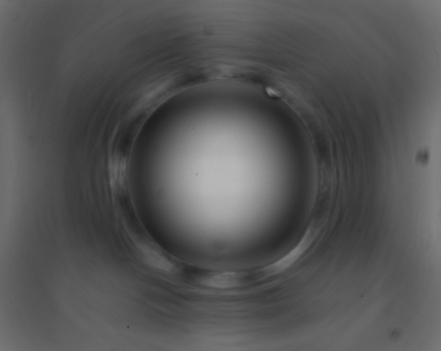 X0000094930094200712131547