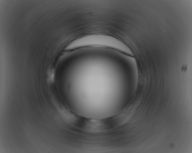 X0000094930095200712131547