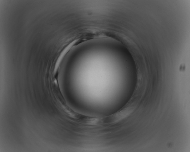 X0000094930096200712131547
