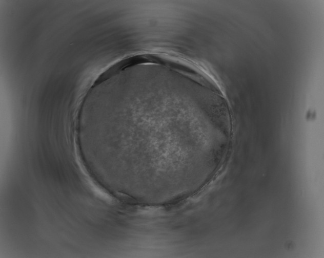 X0000094930097200712131546