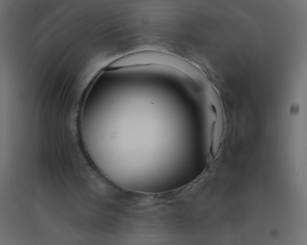 X0000094930098200712131546