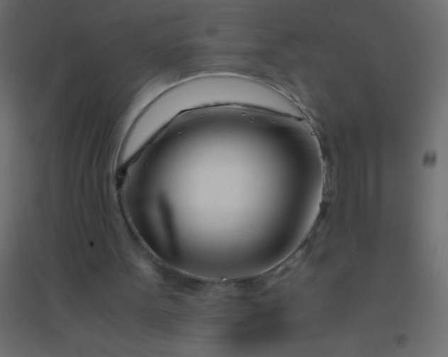 X0000094930099200712131546
