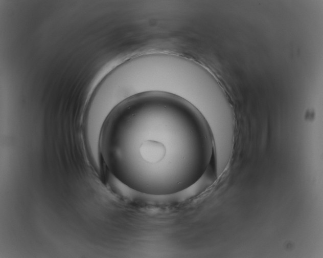X0000094930100200712131546