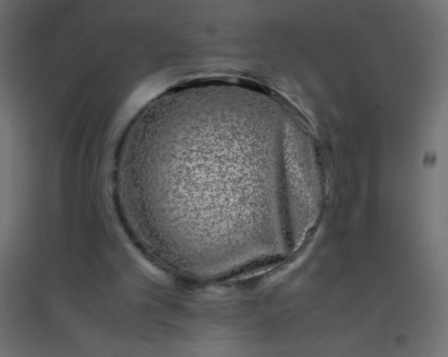X0000094930101200712131546