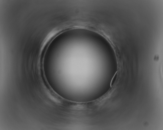 X0000094930102200712131546