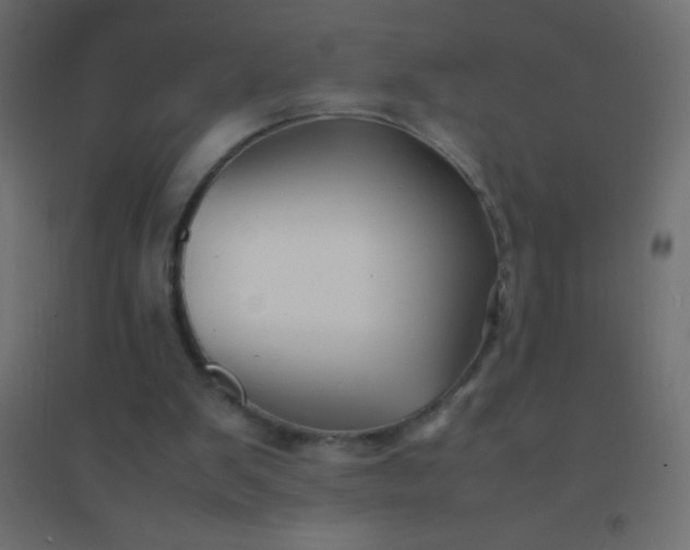 X0000094930103200712131546