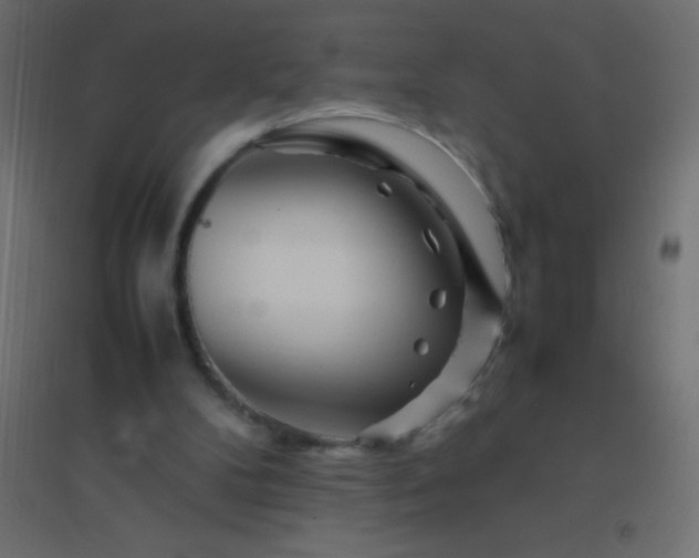 X0000094930104200712131546