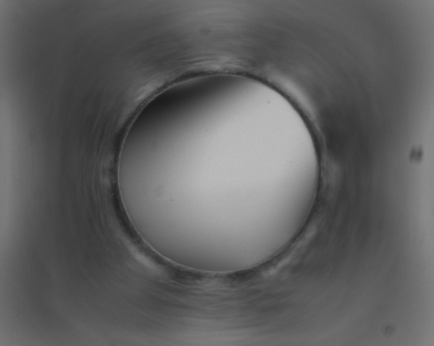 X0000094930105200712131546