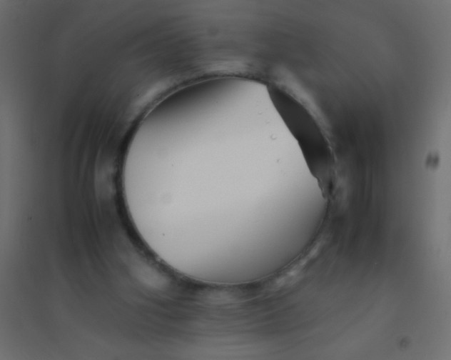 X0000094930106200712131546
