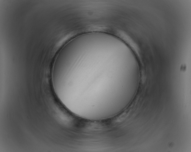 X0000094930107200712131546