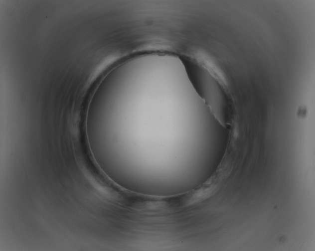X0000094930108200712131546