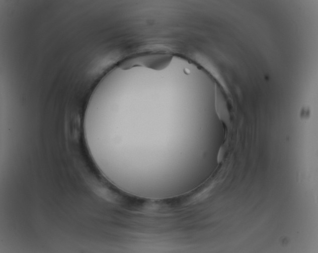 X0000094930109200712131546