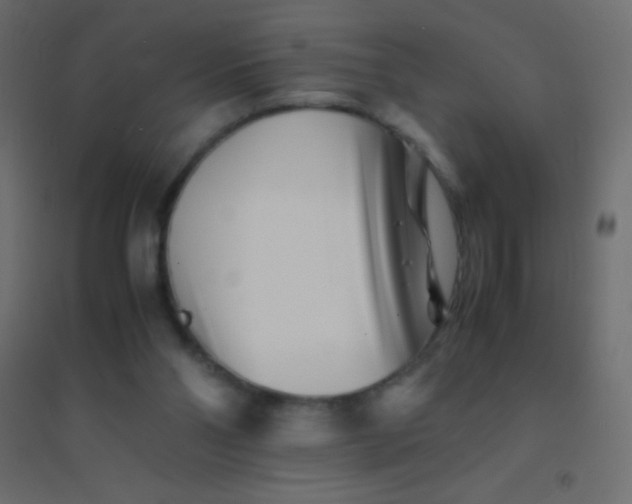 X0000094930110200712131546