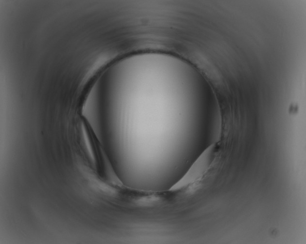 X0000094930112200712131546