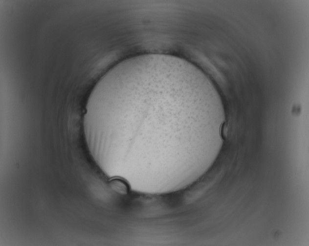 X0000094930113200712131546