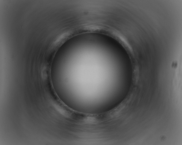 X0000094930114200712131546