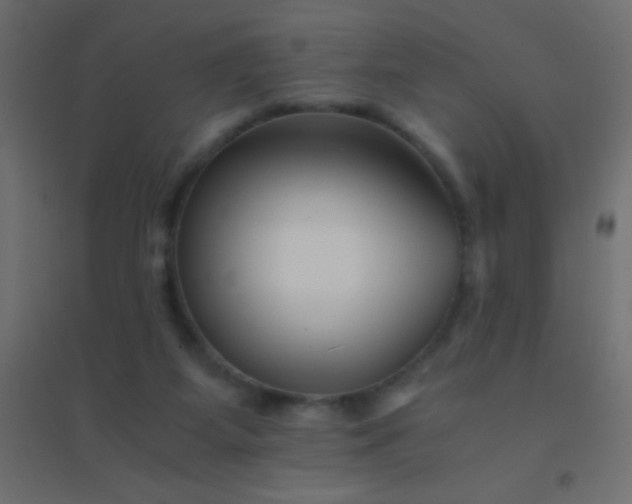 X0000094930115200712131546