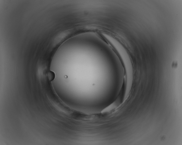 X0000094930116200712131546