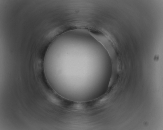 X0000094930117200712131546