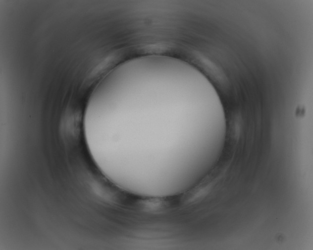 X0000094930118200712131546