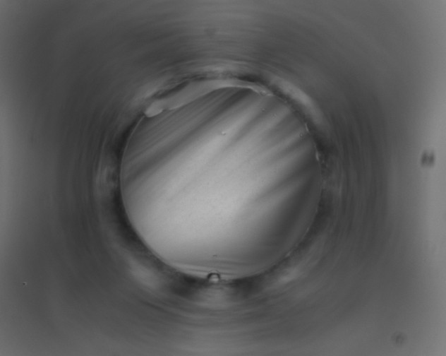 X0000094930119200712131546