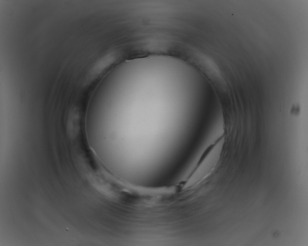 X0000094930120200712131546