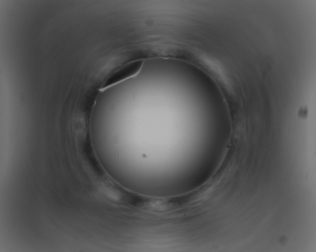 X0000094930121200712131546