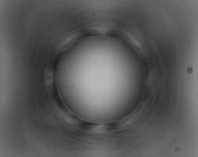 X0000094930122200712131546