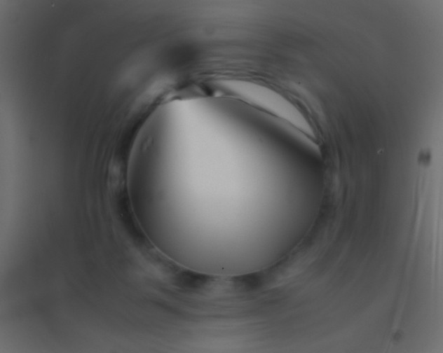 X0000094930123200712131546