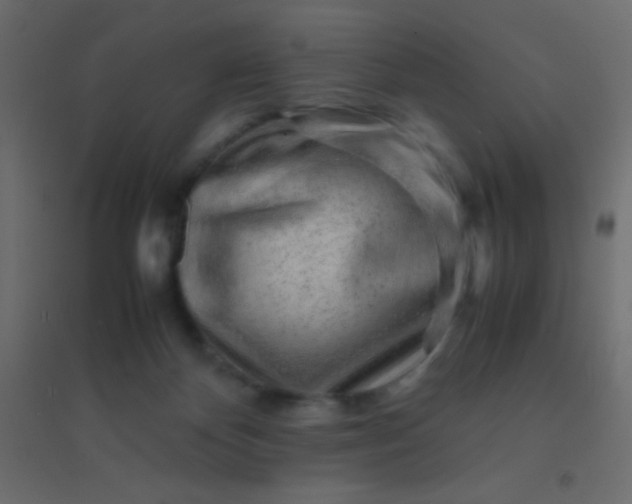 X0000094930124200712131546