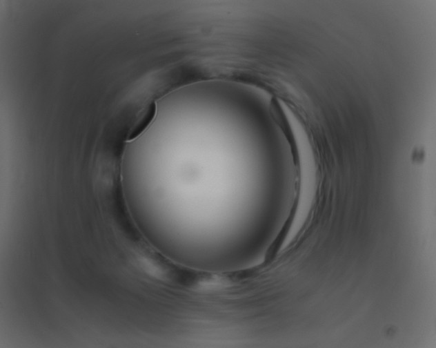 X0000094930125200712131546