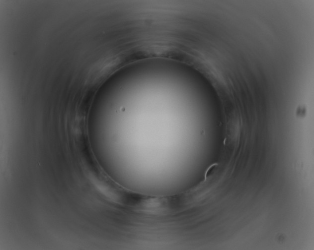 X0000094930126200712131546