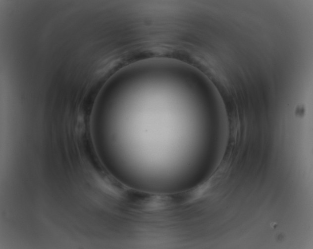 X0000094930128200712131546
