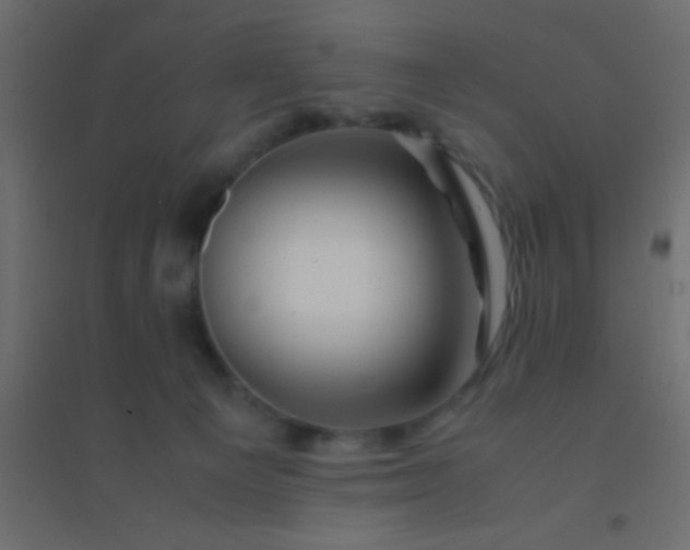 X0000094930129200712131546