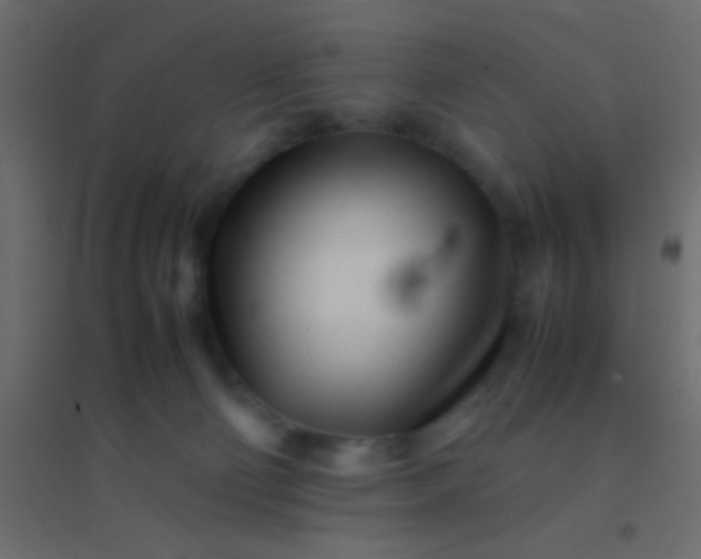 X0000094930130200712131546