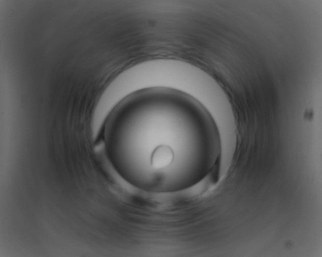 X0000094930132200712131546