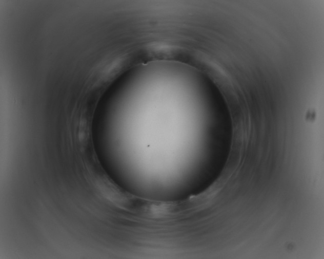 X0000094930134200712131546