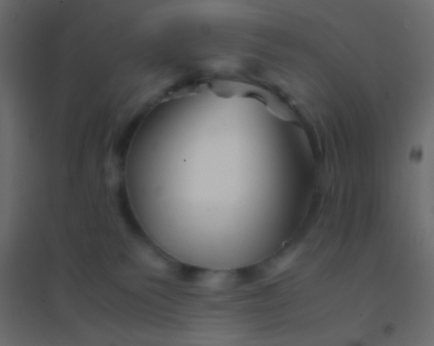X0000094930135200712131546