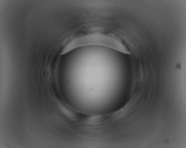X0000094930136200712131546