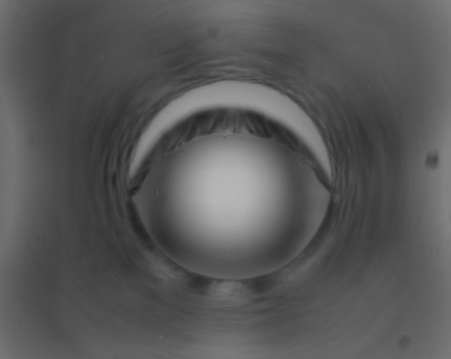 X0000094930137200712131546