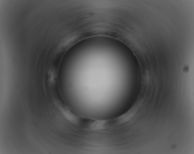 X0000094930138200712131546