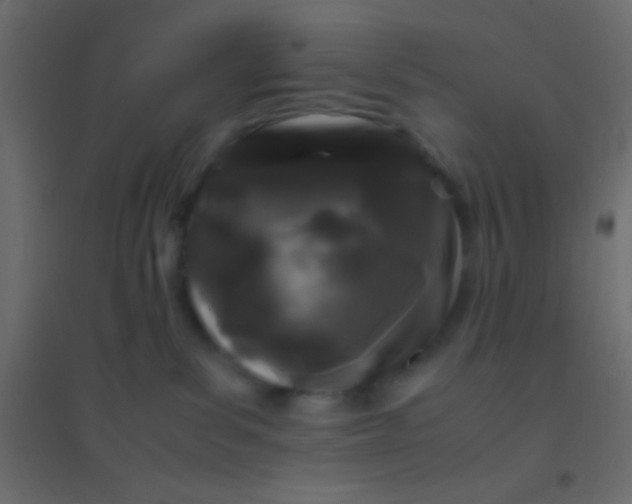 X0000094930139200712131546