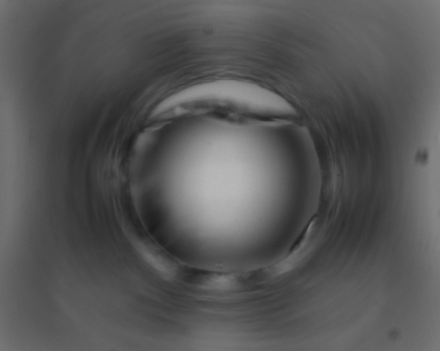 X0000094930140200712131546